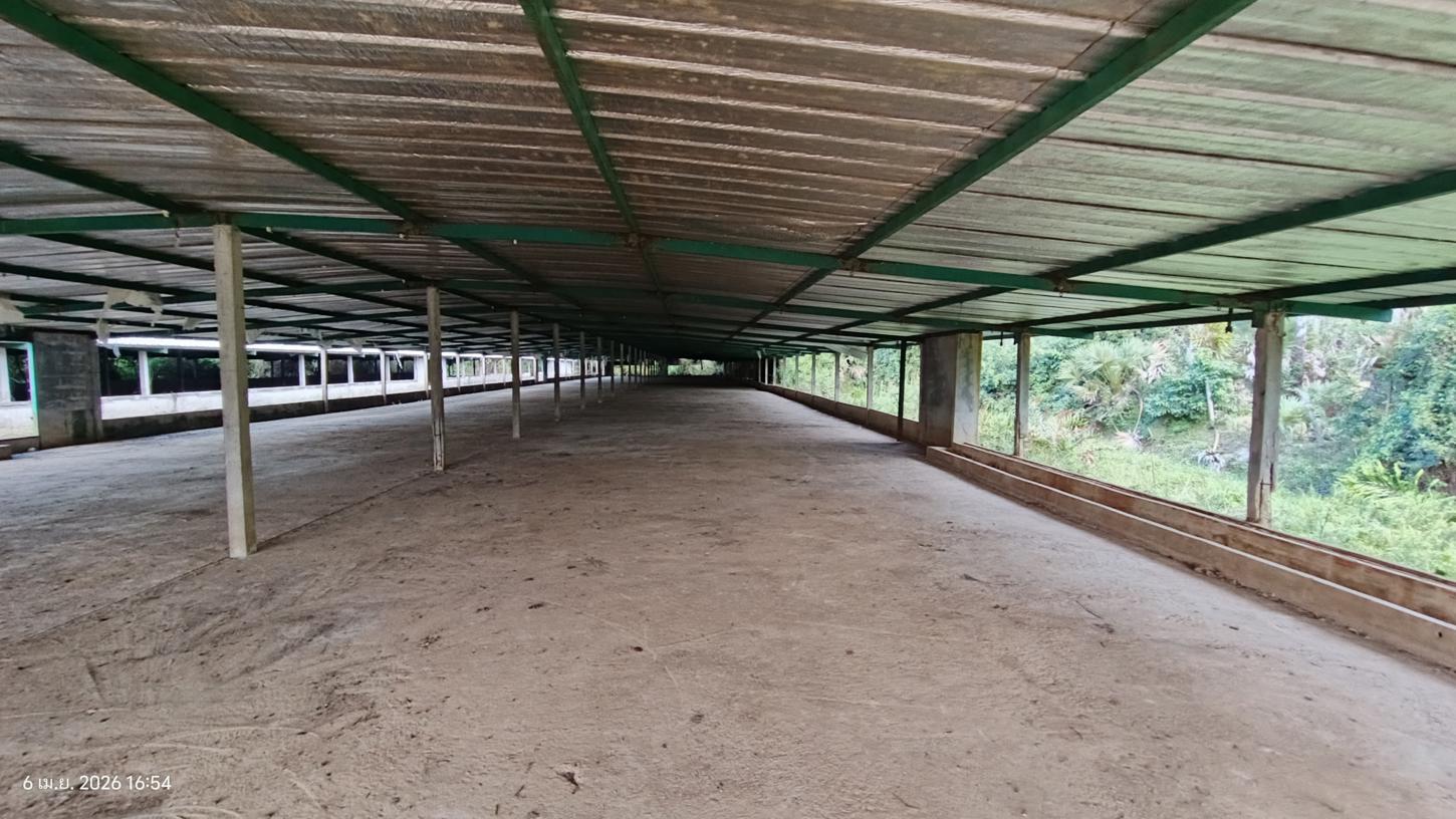 รูป ฟาร์ม 3464 ตร.วา สทิงพระ สงขลา 6.9M - รูปที่ 28/41