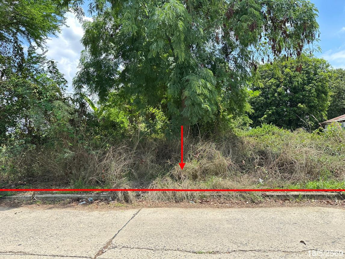 picture LAND 300 Sq.w. Taphan Hin Phichit for 980,000 - 11/21