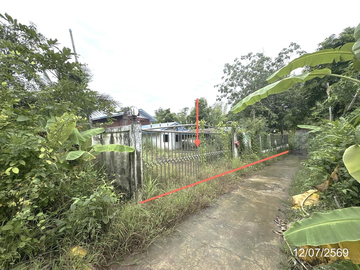 รูป บ้านเดี่ยว 212 ตร.วา พิบูลมังสาหาร อุบลราชธานี 1.5M - รูปที่ 36/41