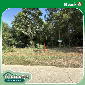รูป ที่ดินว่างเปล่า 3045 ตร.วา เมืองชัยภูมิ ชัยภูมิ 4.3M - รูปที่ 19/21