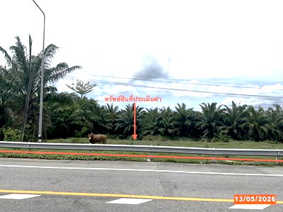 ขายที่ดิน : ที่ดินว่างเปล่า 468.3 ตร.วา กันตัง ตรัง 2.2M