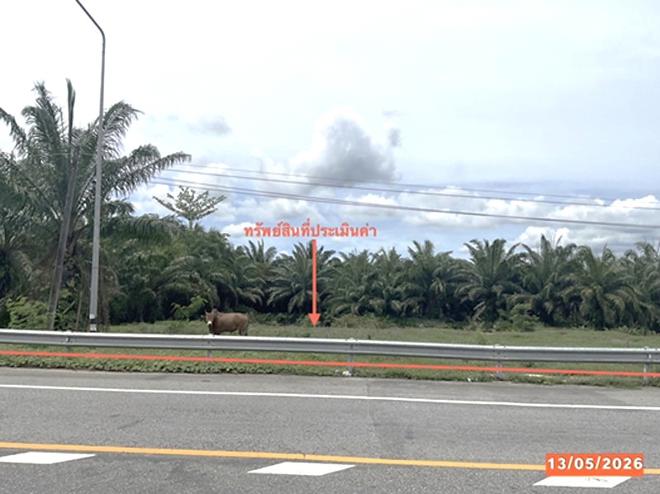 picture LAND 468.3 Sq.w. Kantrang Trang for 2.2M - 1/19