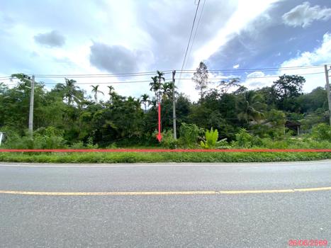 รูป ที่ดินว่างเปล่า 320 ตร.วา กงหรา พัทลุง 2.7M - รูปที่ 16/19