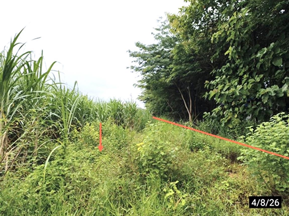รูป ที่ดินว่างเปล่า 1400 ตร.วา สหัสขันธ์ กาฬสินธุ์ 1.8M - รูปที่ 14/19