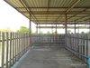 listing thumbnail image 46