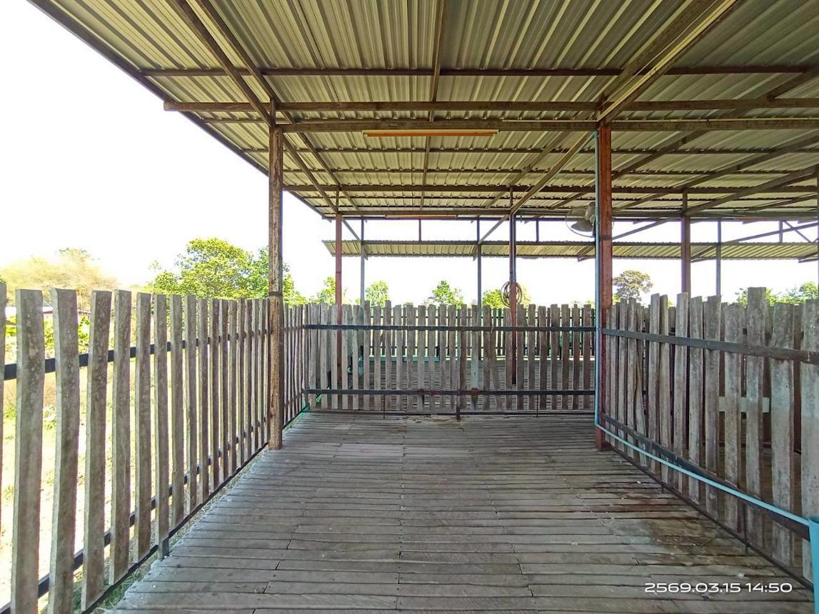 รูป โกดัง 12659 ตร.วา พยัคฆภูมิพิสัย มหาสารคาม 5.4M - รูปที่ 47/51