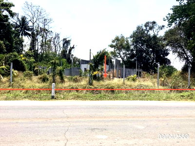 ที่ดิน คลองขลุง กำแพงเพชร : ที่ดินว่างเปล่า 4246 ตร.วา คลองขลุง กำแพงเพชร 4.4M