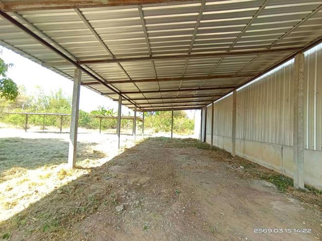 รูป โกดัง 12659 ตร.วา พยัคฆภูมิพิสัย มหาสารคาม 5.4M - รูปที่ 5/51