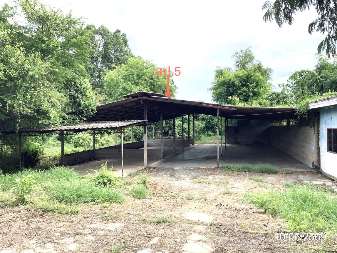 รูป โกดัง 1966 ตร.วา สรรพยา ชัยนาท 3.6M - รูปที่ 25/45