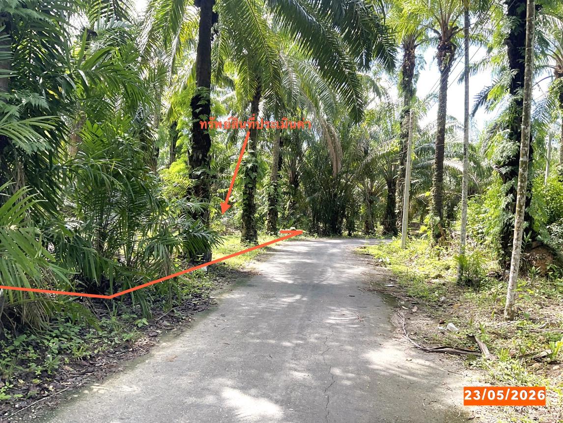 รูป ที่ดินว่างเปล่า 279.8 ตร.วา วังวิเศษ ตรัง 602,000 - รูปที่ 8/15