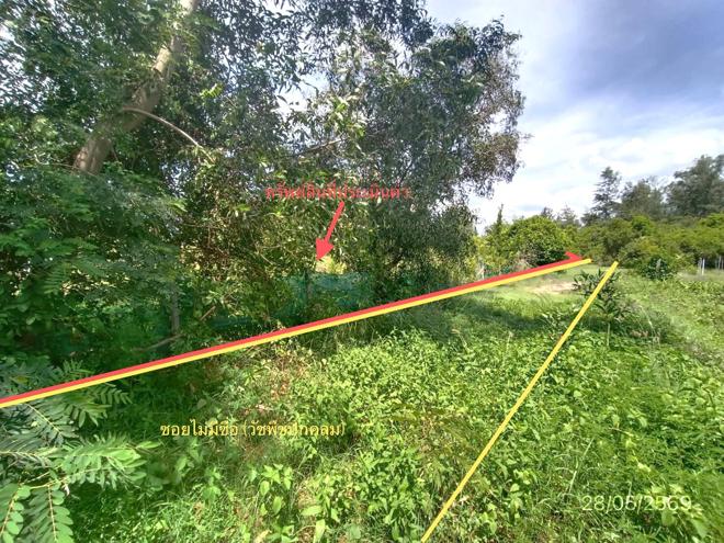 รูป ที่ดินว่างเปล่า 291.3 ตร.วา สทิงพระ สงขลา 826,000 - รูปที่ 10/25
