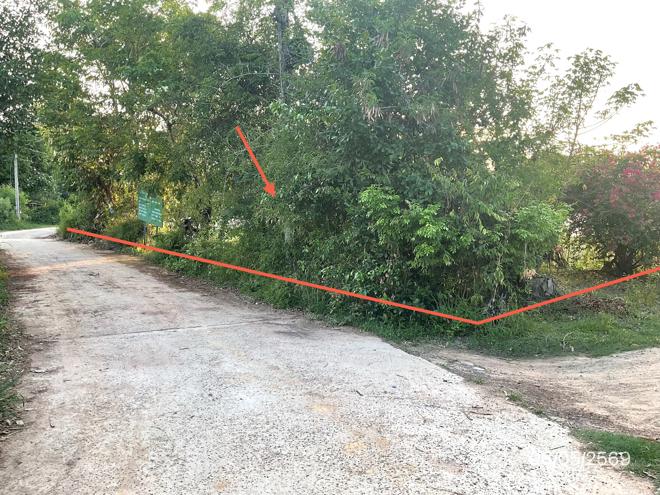 picture LAND 985 Sq.w. Khuang Nai Ubon Ratchathani for 1.4M - 2/25