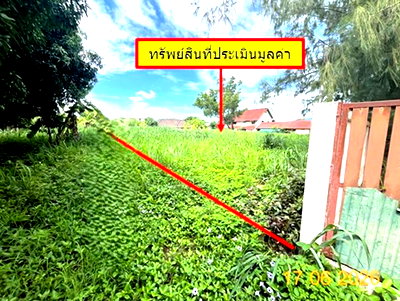 ที่ดิน เมืองลำปาง ลำปาง : ที่ดินว่างเปล่า 381.5 ตร.วา เมืองลำปาง ลำปาง 1.1M