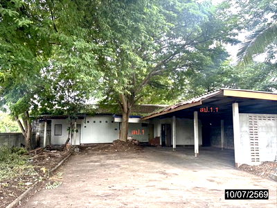 บ้านเดี่ยว ขอนแก่น : บ้านเดี่ยว 600 ตร.วา เมืองขอนแก่น ขอนแก่น 6.6M