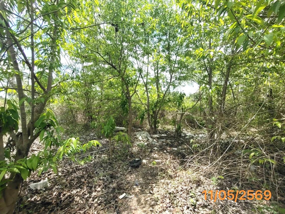 picture LAND 150 Sq.w. Muang Krabi Krabi for 995,000 - 10/15