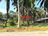 listing thumbnail image 48