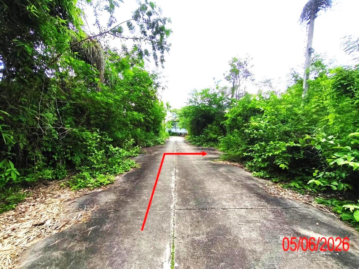 รูป ที่ดินว่างเปล่า 903 ตร.วา บ้านสวนเชิงดอยรีสอร์ท เมืองลำพูน ลำพูน 1.6M - รูปที่ 15/21