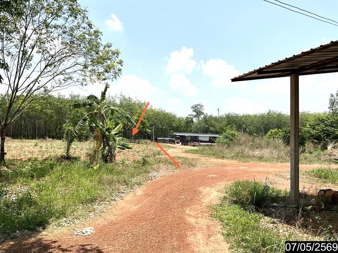 รูป ที่ดินว่างเปล่า 8400 ตร.วา ศรีวิไล บึงกาฬ 2.2M - รูปที่ 10/25
