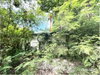 listing thumbnail image 29