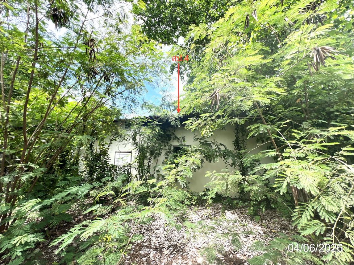 รูป โรงสี 11821.9 ตร.วา สรรคบุรี ชัยนาท 76.7M - รูปที่ 30/45