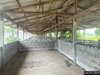 listing thumbnail image 23
