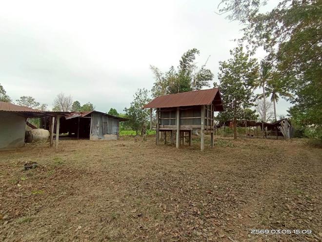 picture HOME 825 Sq.w. Muang Kalasin Kalasin for 1.2M - 16/35