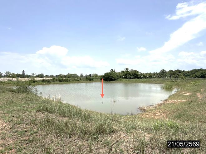 รูป ที่ดินว่างเปล่า 10280 ตร.วา ยางตลาด กาฬสินธุ์ 11M - รูปที่ 10/25