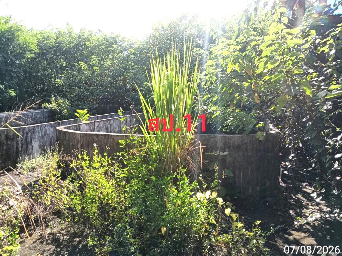 picture FACTORY 2776 Sq.w. Mae Wang Chiang Mai for 14M - 37/47