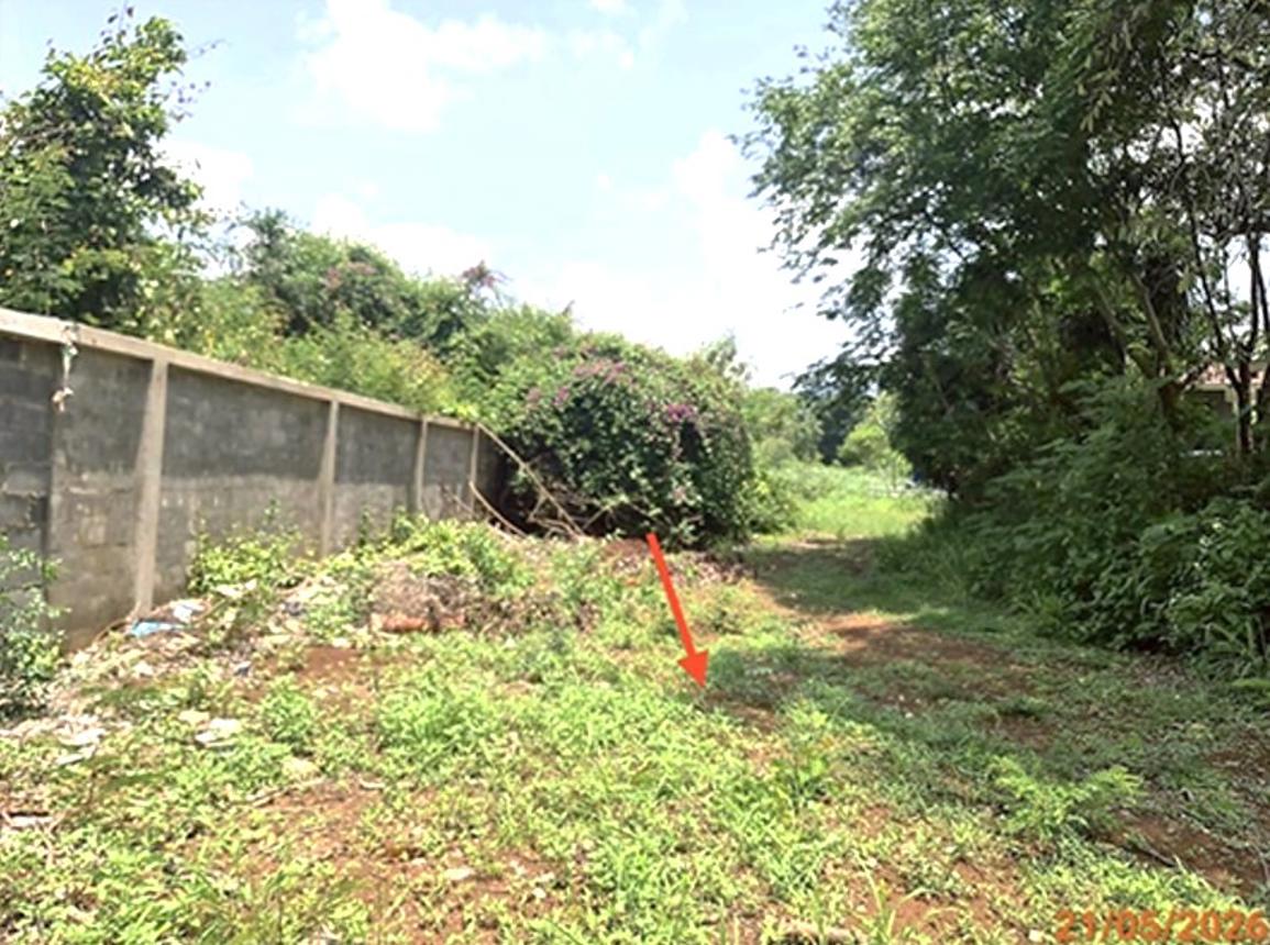 picture LAND 200 Sq.w. Pak Chong Nakhon Ratchasima for 3.7M - 11/17