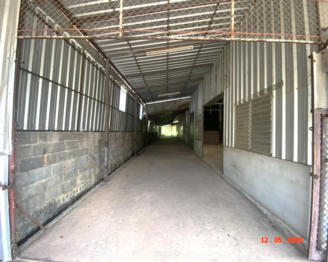 รูป บ้านเดี่ยว 126.9 ตร.วา เมืองนครพนม นครพนม 2.8M - รูปที่ 19/33