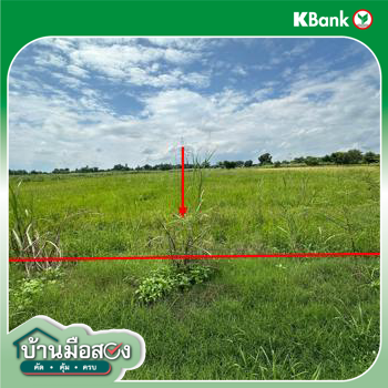 picture LAND 2520 Sq.w. Wang Thong Phitsanulok for 1.4M - 17/19