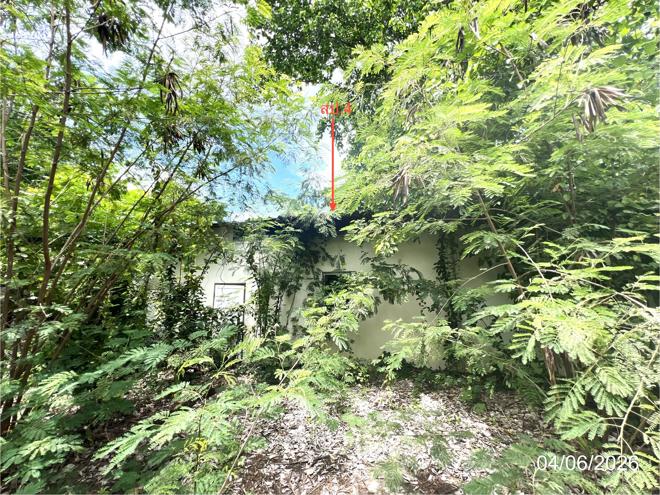 รูป โรงสี 11821.9 ตร.วา สรรคบุรี ชัยนาท 76.7M - รูปที่ 10/45