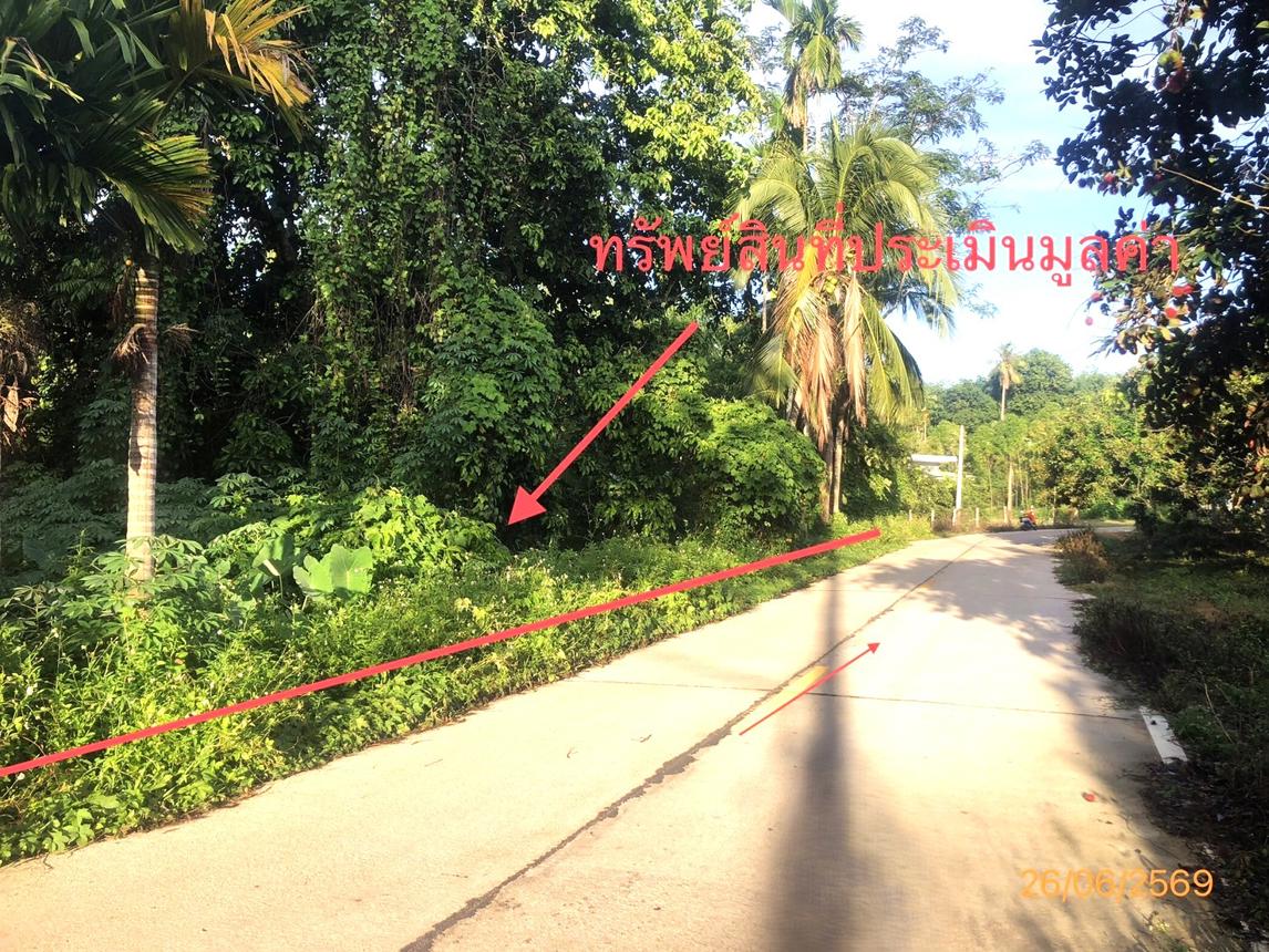รูป ที่ดินว่างเปล่า 321.8 ตร.วา บ้านนาเดิม สุราษฎร์ธานี 547,000 - รูปที่ 12/25