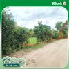 listing thumbnail image 8