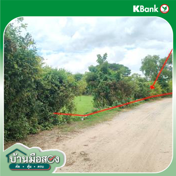 picture LAND 1106 Sq.w. Kaset Wisai Roi Et for 1.2M - 9/11
