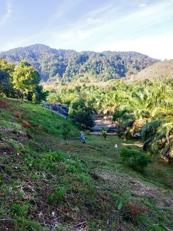 รูป ที่ดิน 20 ไร่พังงาแถวตะกั่วป่า ให้เช่า - รูปที่ 2/3