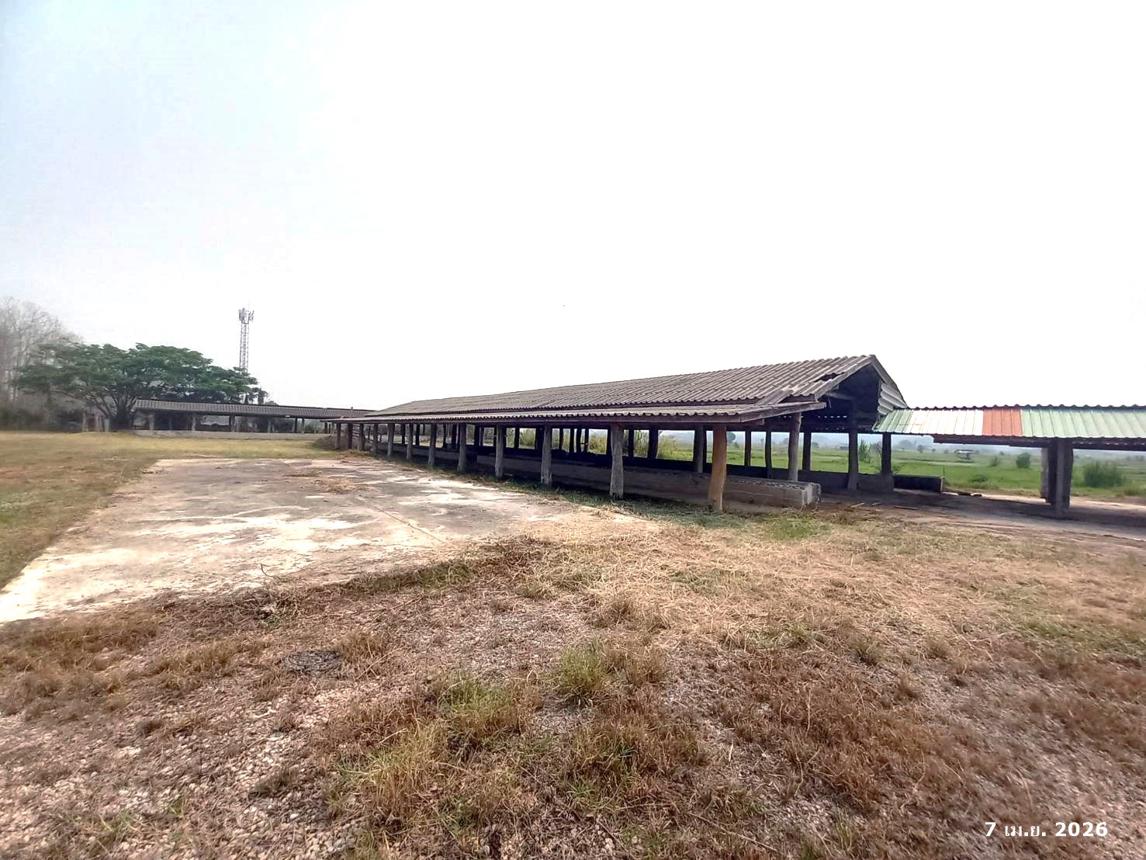 picture HOME 4691 Sq.w. Ngao Lamphang for 7M - 33/55