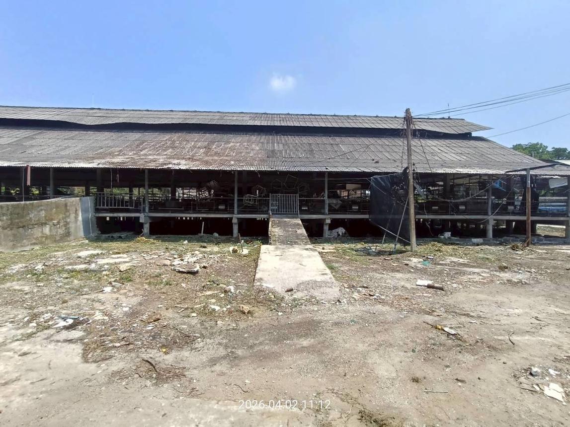 รูป ฟาร์ม 6600 ตร.วา เมืองปราจีนบุรี ปราจีนบุรี 8.8M - รูปที่ 52/89