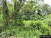 listing thumbnail image 26
