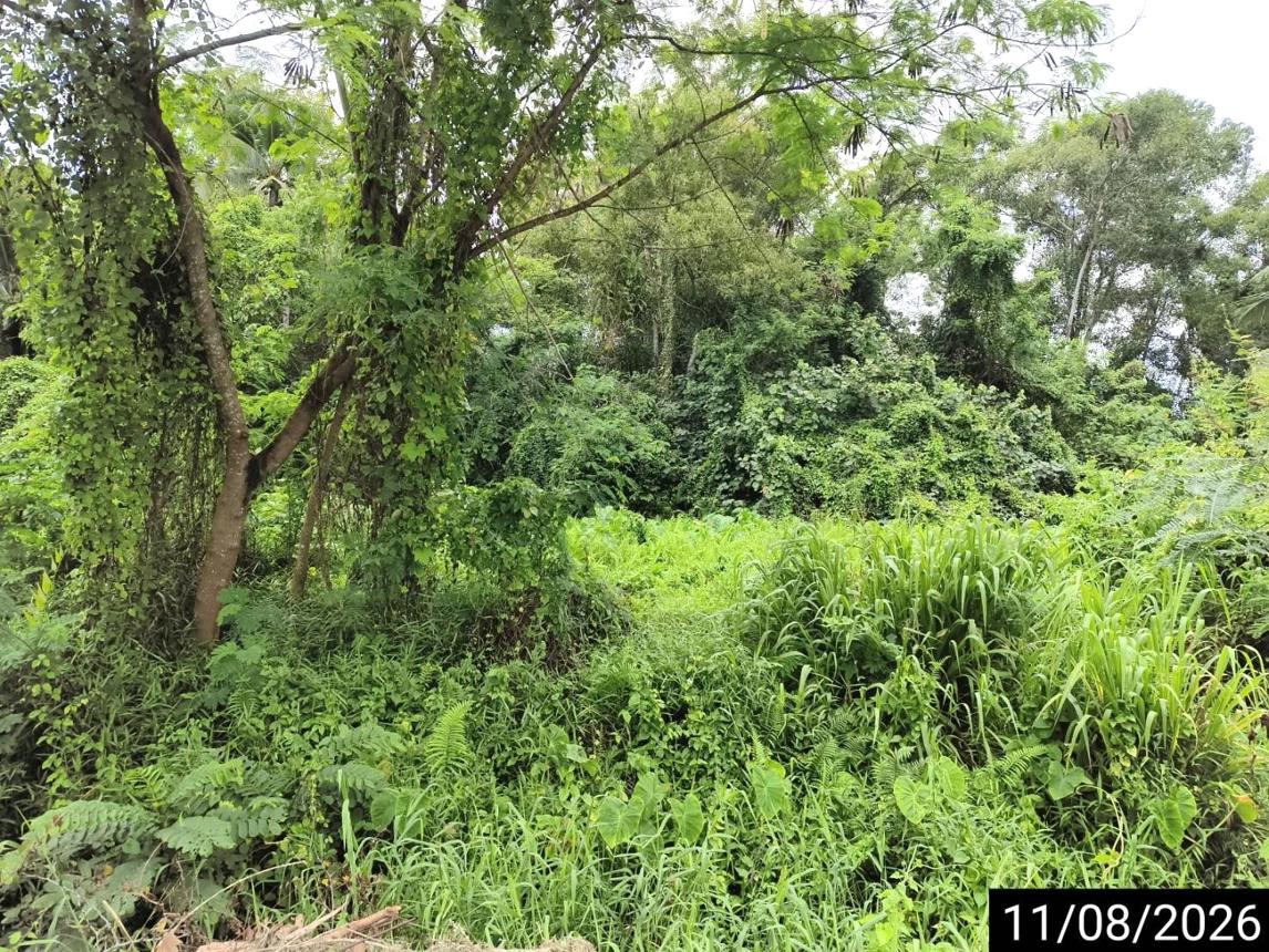 รูป ที่ดินว่างเปล่า 408.8 ตร.วา เมืองชุมพร ชุมพร 3.7M - รูปที่ 27/37
