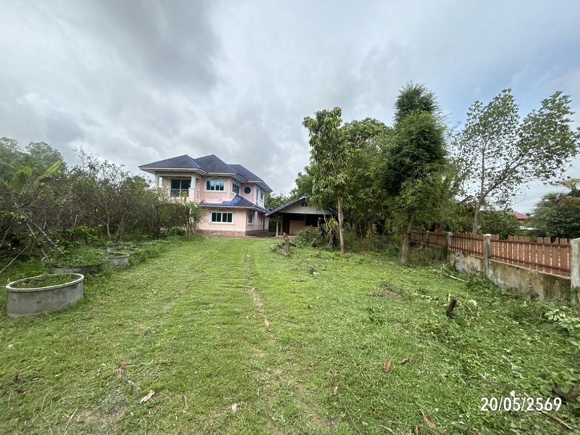 รูป บ้านเดี่ยว 956 ตร.วา สนม สุรินทร์ 2.5M - รูปที่ 46/51