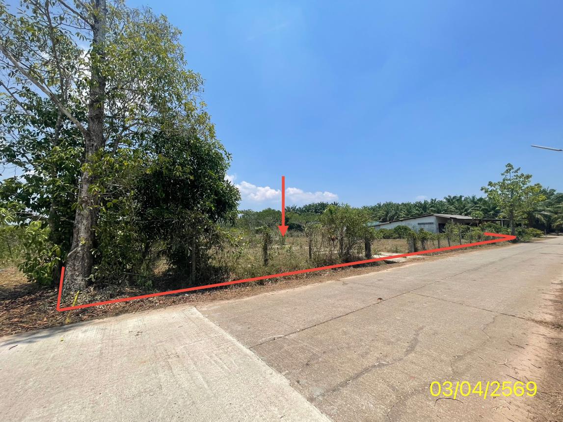picture LAND 179.2 Sq.w. Kantrang Trang for 1.5M - 12/25
