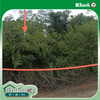 listing thumbnail image 14