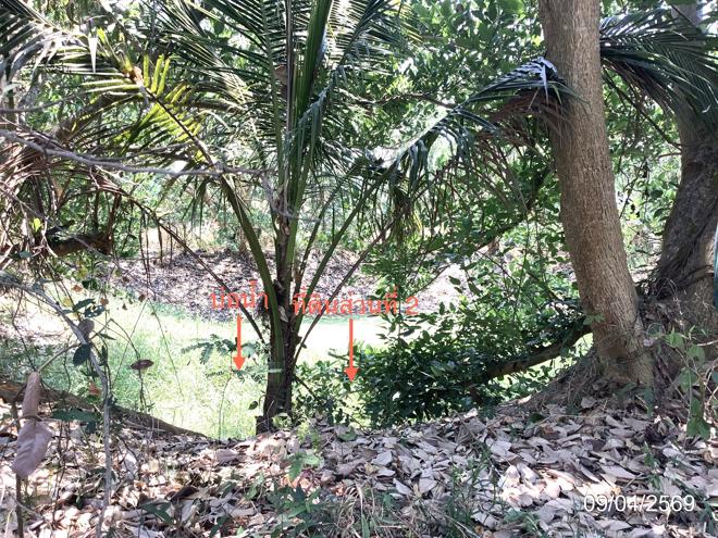 รูป ที่ดินว่างเปล่า 4246 ตร.วา คลองขลุง กำแพงเพชร 4.4M - รูปที่ 11/25
