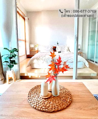 Condos for rent : AA702572 | 1 Bed | 1 Bath | Ratchada-Wongsawang | 30sqm | THB 11,000/mo — The Parkland Ratchada-Wongsawang Bangkok