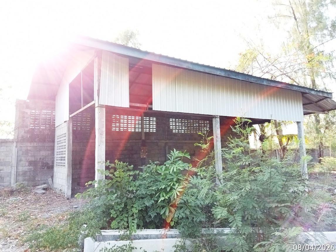 รูป บ้านเดี่ยว 1027 ตร.วา ประทาย นครราชสีมา 5.8M - รูปที่ 56/61