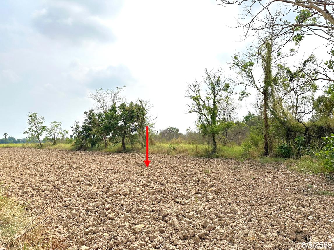 picture LAND 5639 Sq.w. Muang Phitsanulok Phitsanulok for 56.9M - 13/17