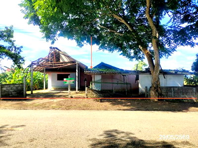 บ้านเดี่ยว เชียงราย : บ้านเดี่ยว 255 ตร.วา เวียงป่าเป้า เชียงราย 872,000