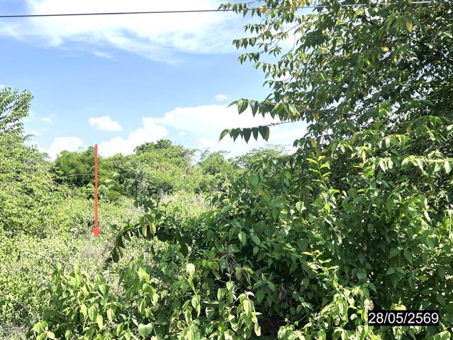 รูป ที่ดินว่างเปล่า 1085 ตร.วา ห้วยเม็ก กาฬสินธุ์ 3.6M - รูปที่ 4/17