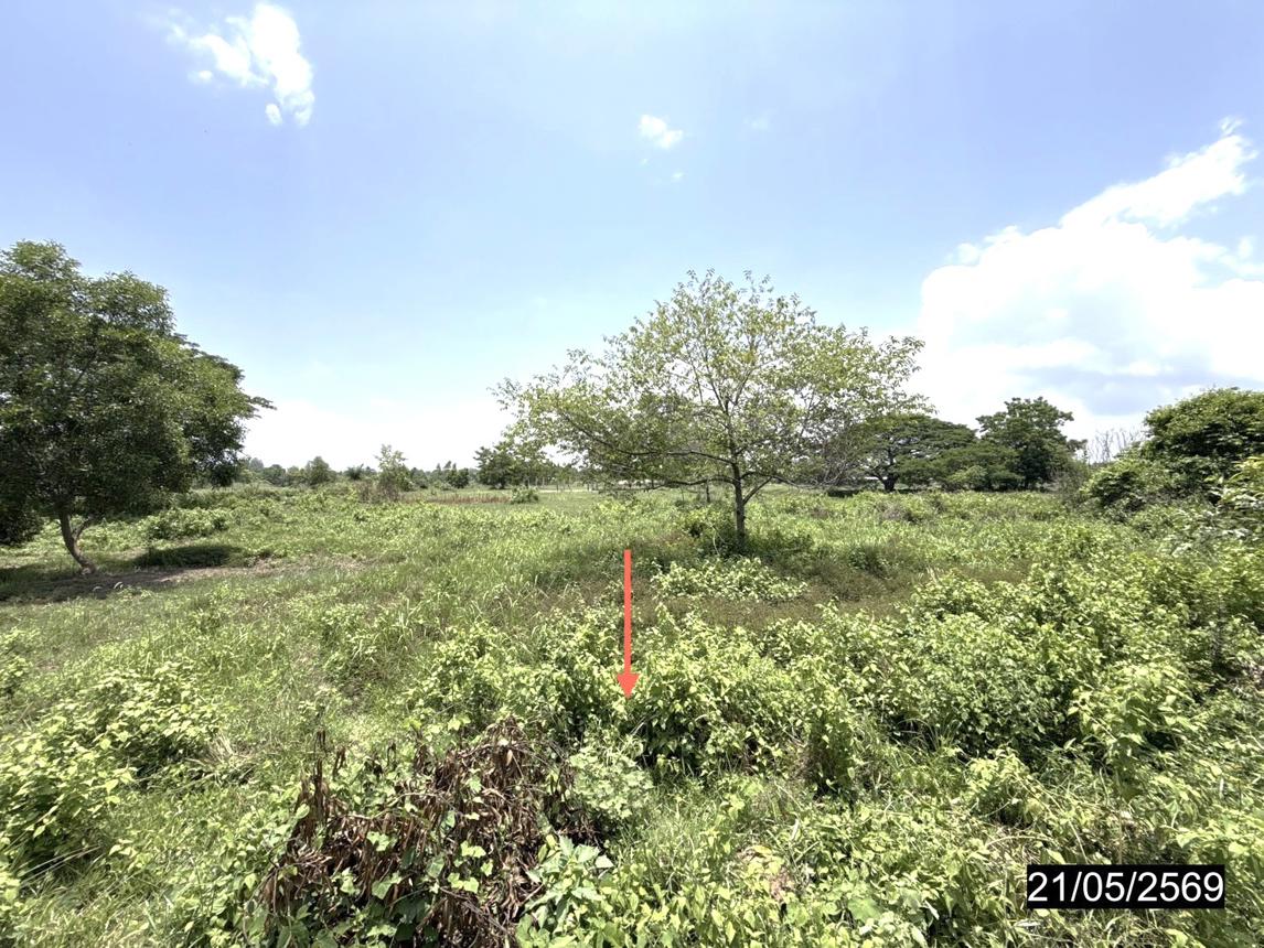 รูป ที่ดินว่างเปล่า 10280 ตร.วา ยางตลาด กาฬสินธุ์ 11M - รูปที่ 15/25